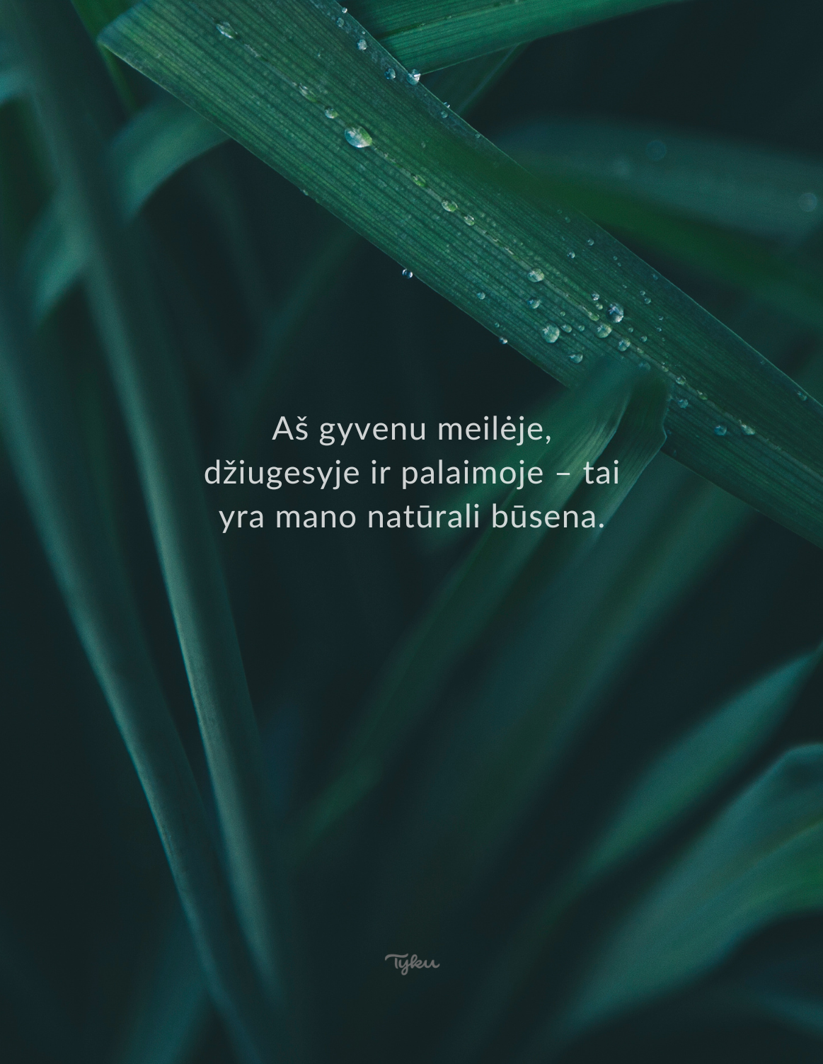 afirmacijos telefono ekranas fonas teiginiai priminimai pokytis transformacija estetika